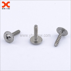 Phillips washer hlooho ea 18-8 moetsi oa li-stainless steel screws