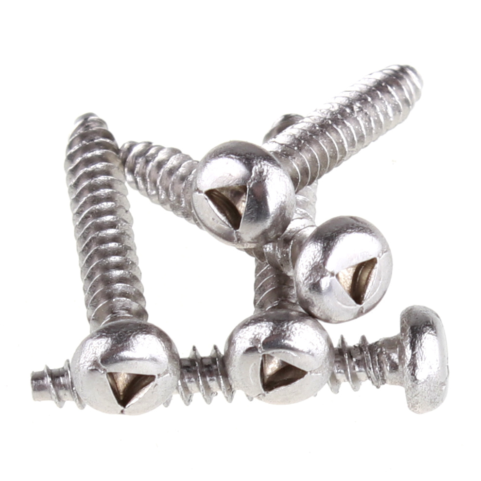 Antii-Theft-Screw (1)