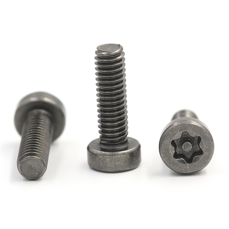 Pin Torx Security Screws