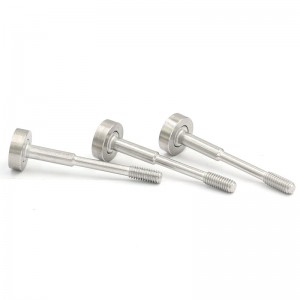 Stainless Steel Captive Screws
