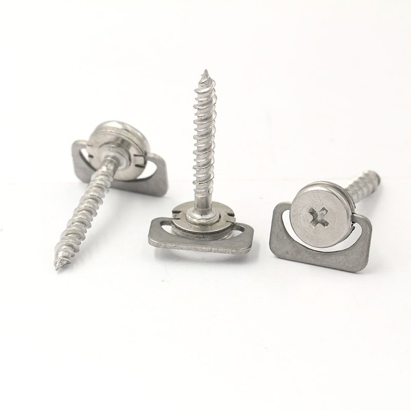 Lag luam wholesale nqe customized stainless hlau screws (1)