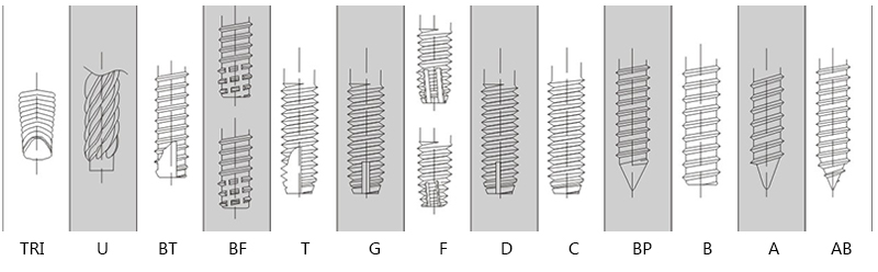 ANISOCYCLUM puncta