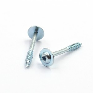 theft proof screws