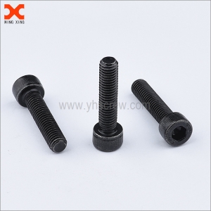 black socket head cap stainless machine screws