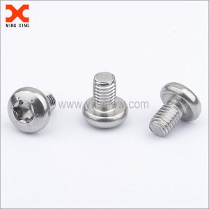 A4-80 stainless steel pan head metric torx machine screws