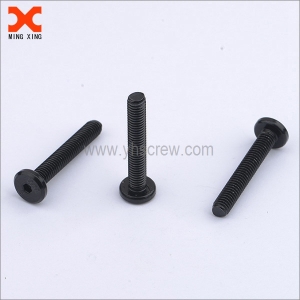 cheese head hex socket black stainless steel screws