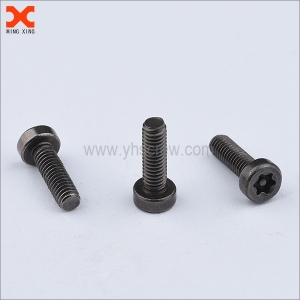 special pin torx security machine screws manufacturer