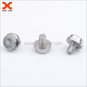 Custom A2 18-8 stainless steel big head step screws 