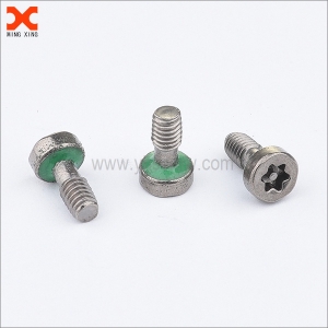 captive pin torx sealing anti tamper screws supplier