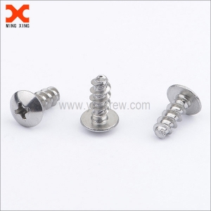 Self-tapping plastic screws truss head phillips drive