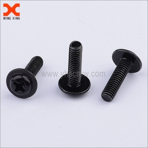 stainless steel black washer head screws