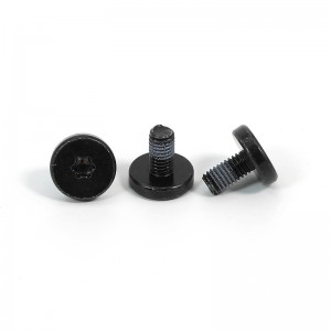 AntiLooseningScrew