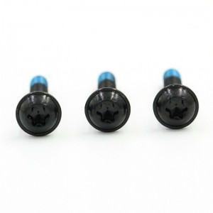 NylonLockScrew