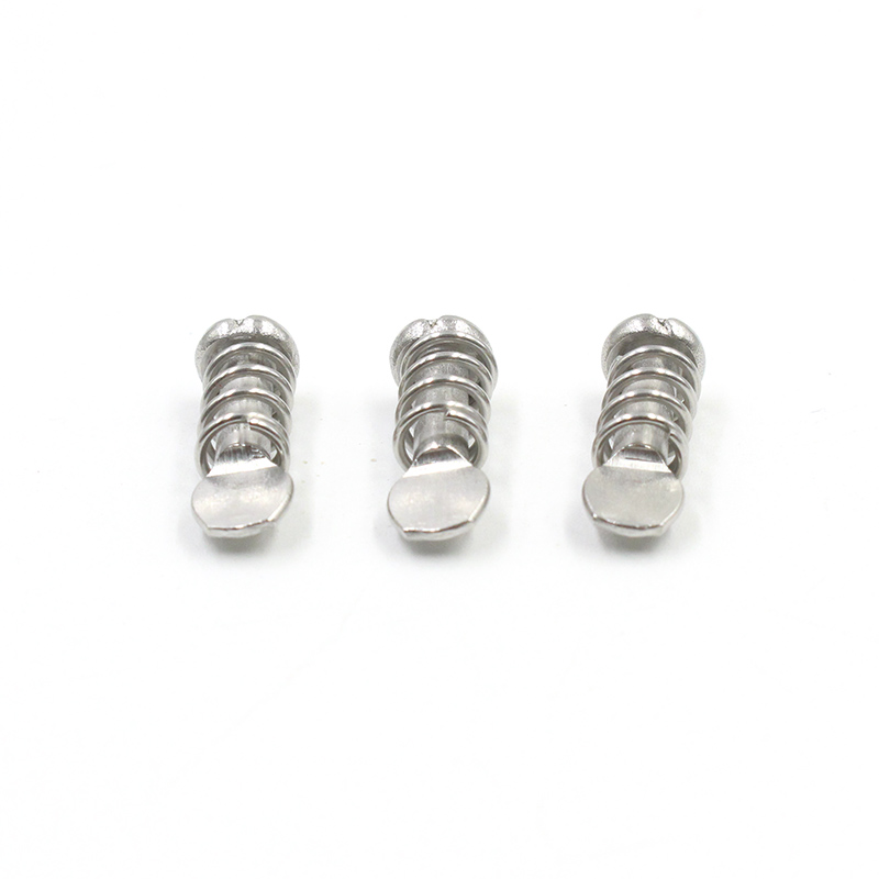 Specialized Spring Screws for Temperature Controllers (3)
