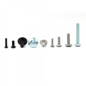 Stainless Steel Screws