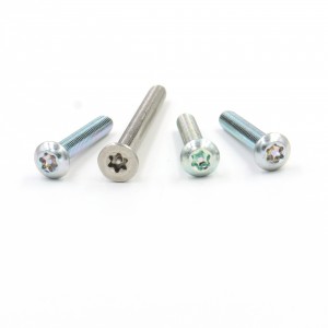 Torx Screw