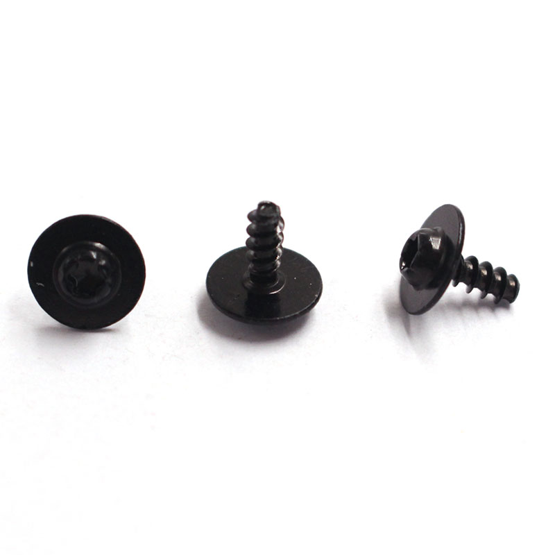TorxPanWasherScrew