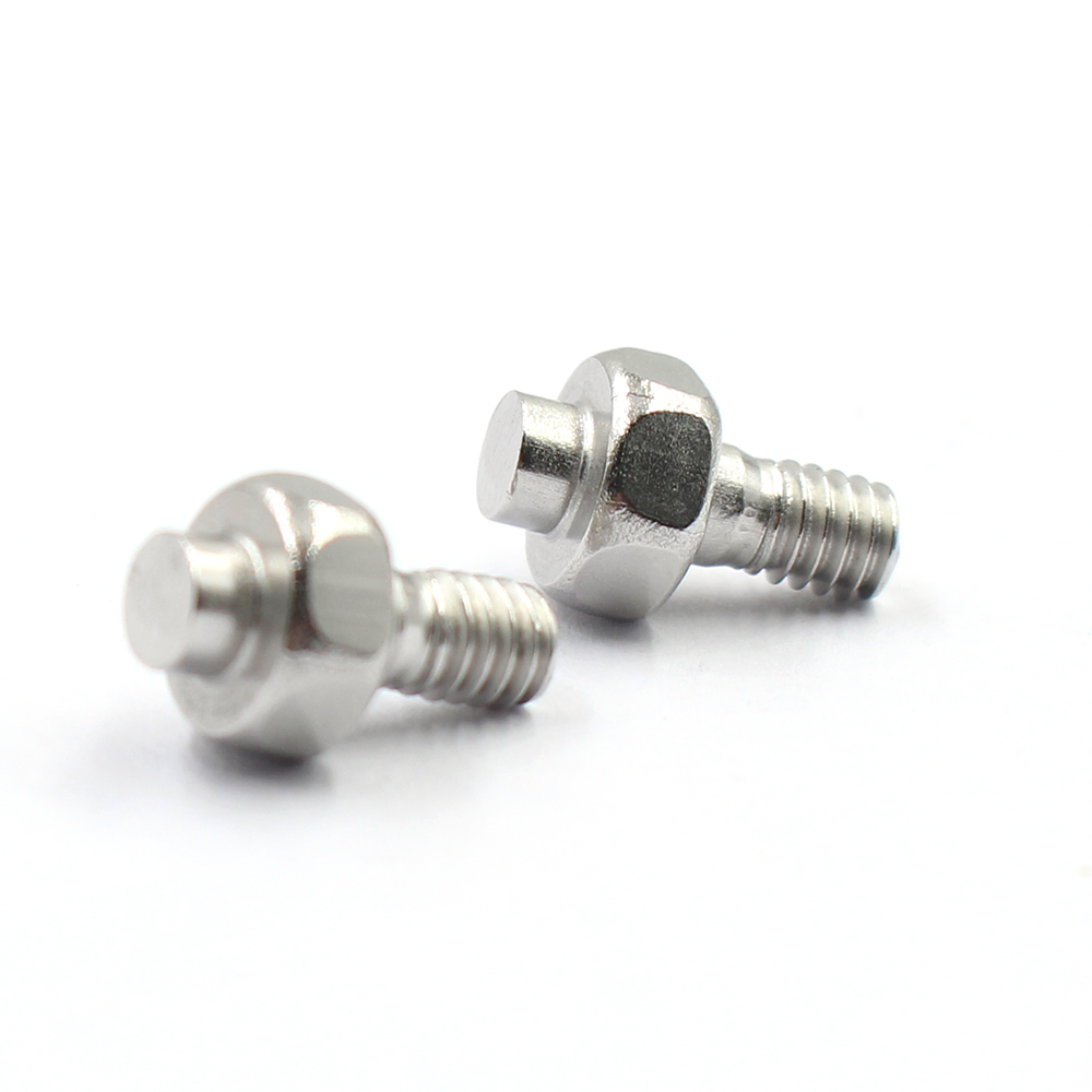 Wholesale price customized stainless steel screws (2)
