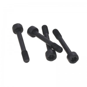 captive screw 1