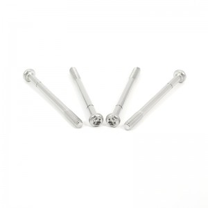 captive screw