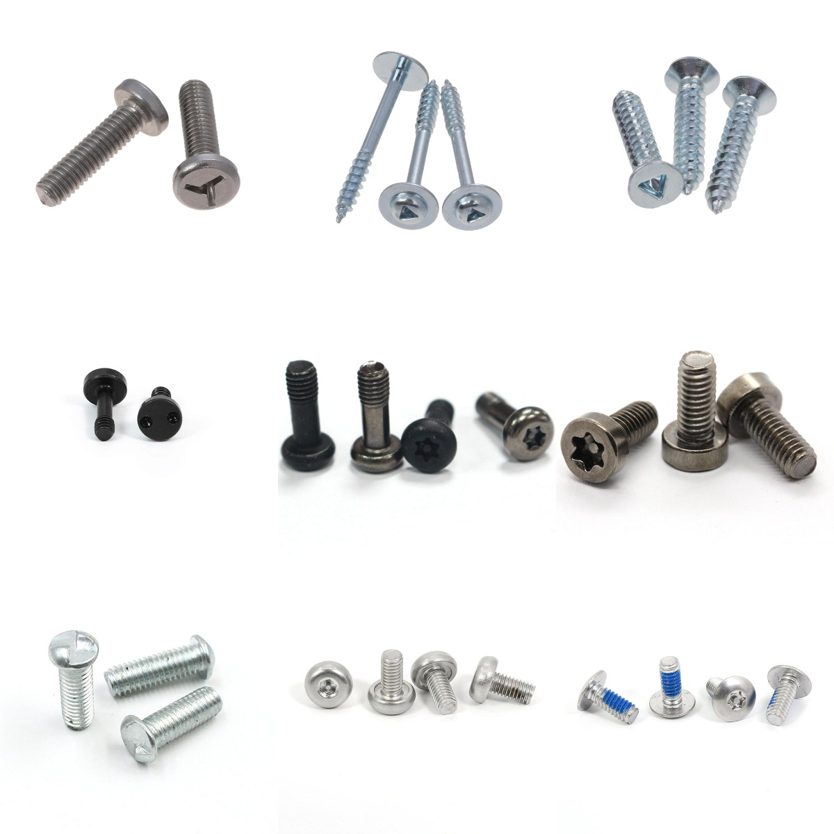 security screw1